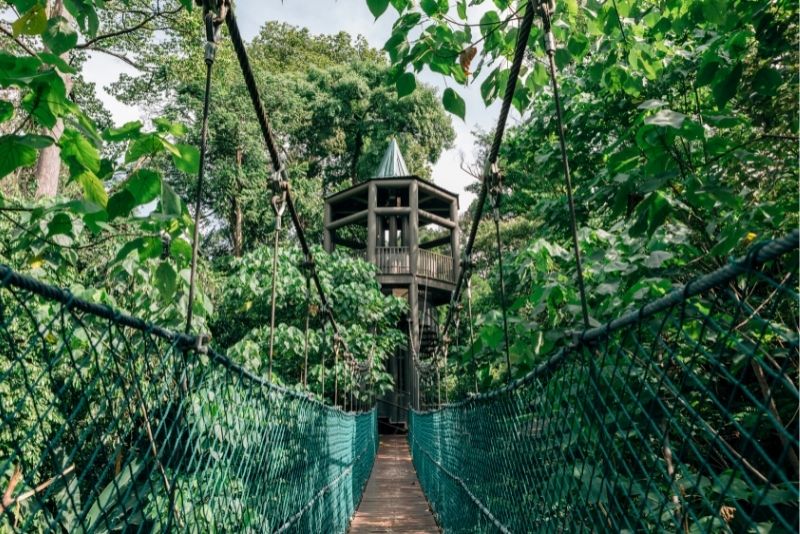 KL Forest Eco Park, Kuala Lumpur