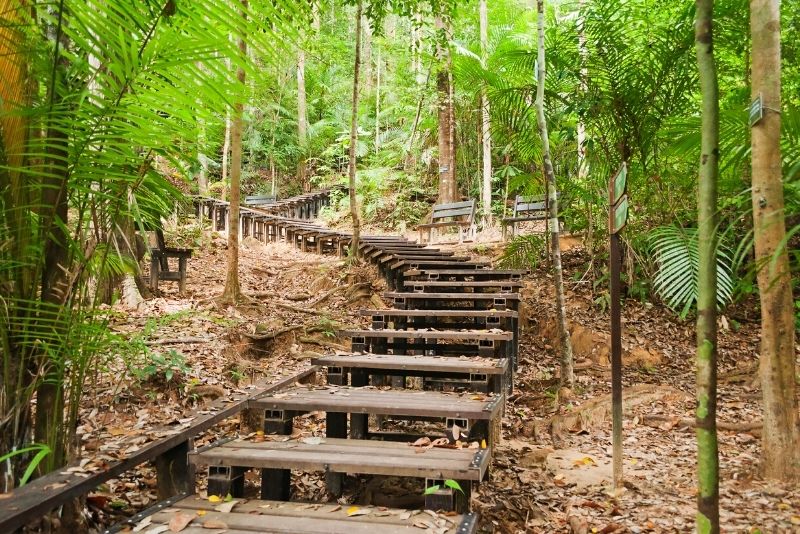 Taman Negara National Park, Malaysia